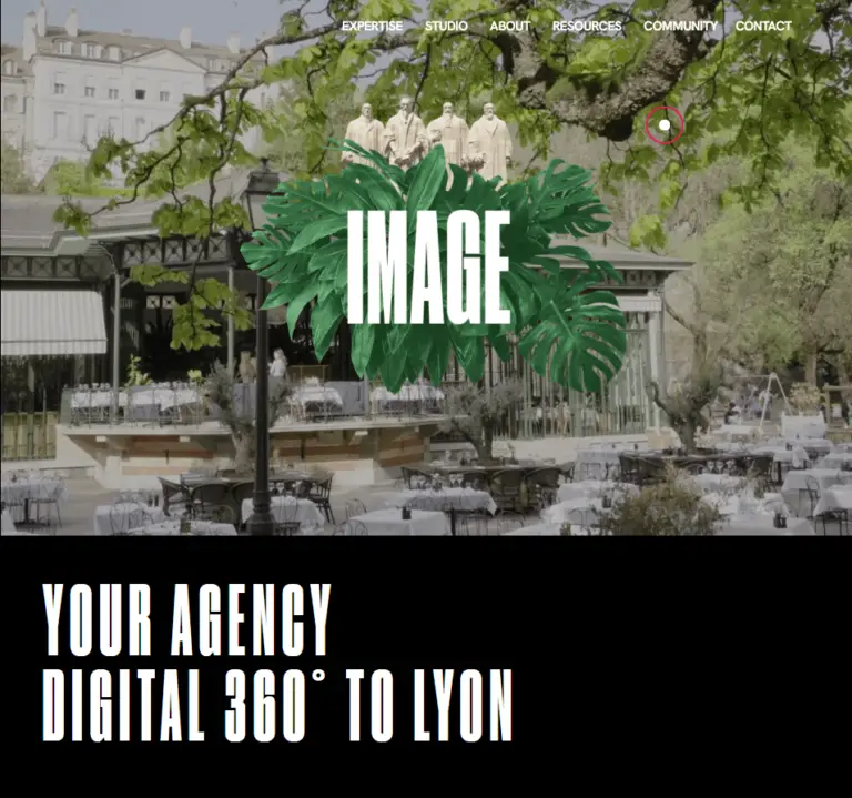 Wybe-1.webp